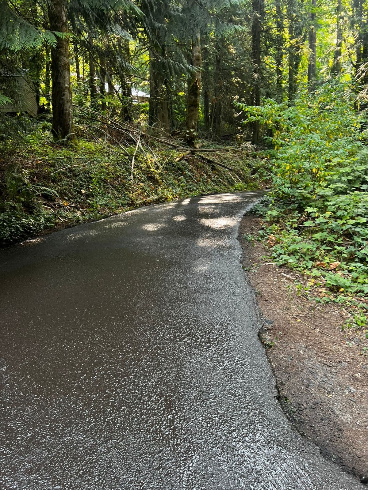 asphalt - asphalt13.1