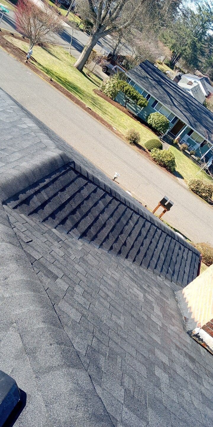 roofing - roofing1