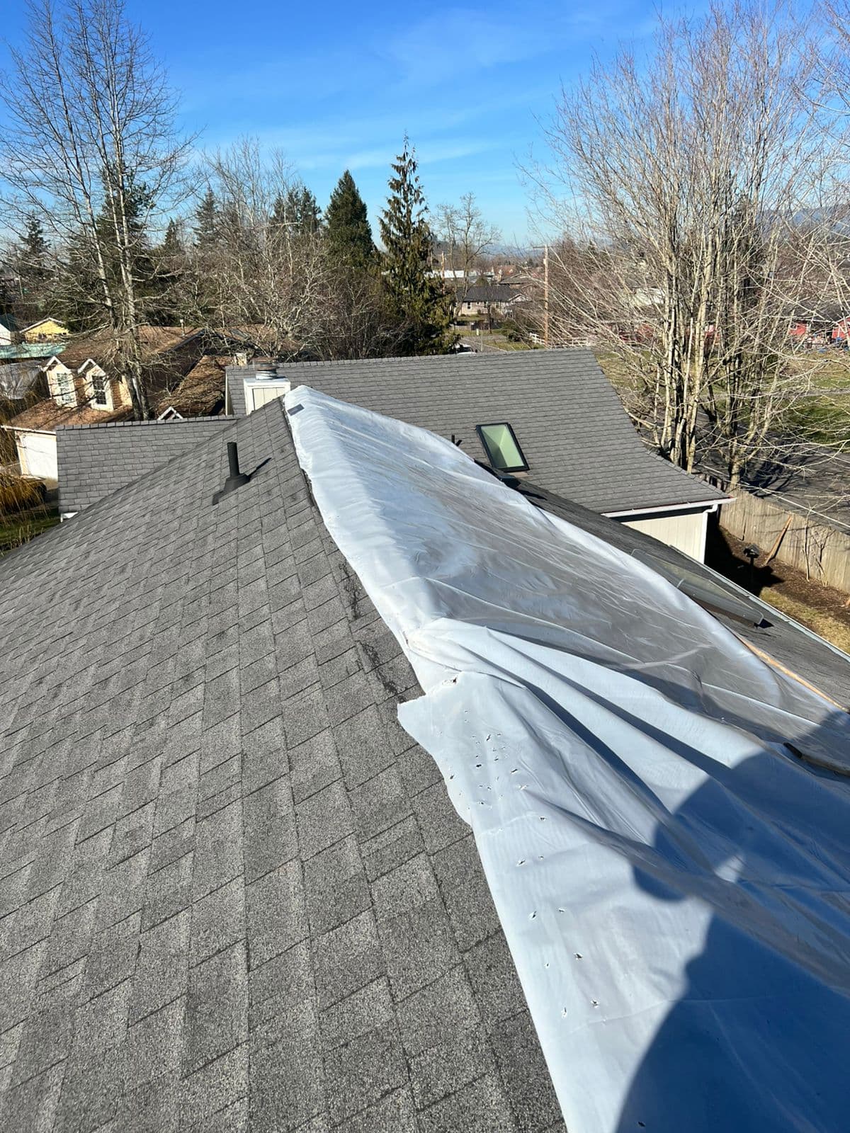 roofing - roofing10.2